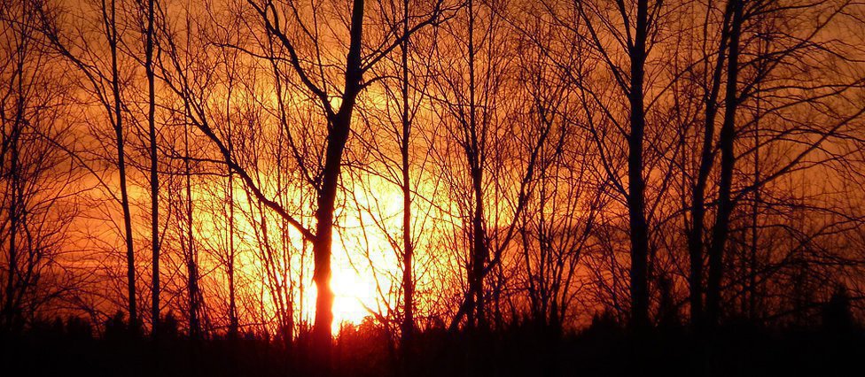 file/photo/foto19239_1.jpg